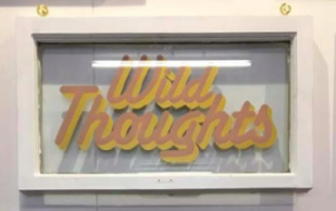 Matt Rogers | Wild Thoughts
