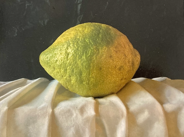 Lemons Session