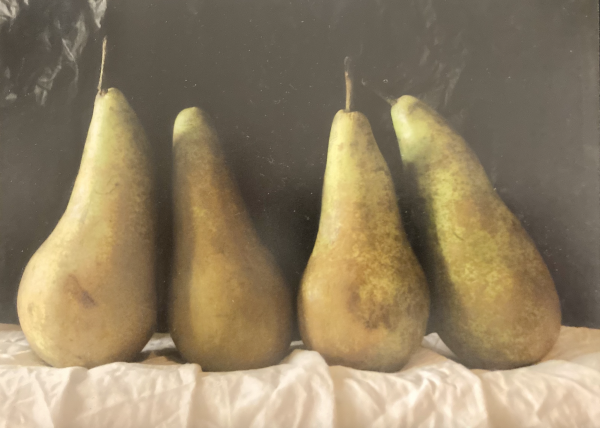 Kate Verrion | A Pair of Pears