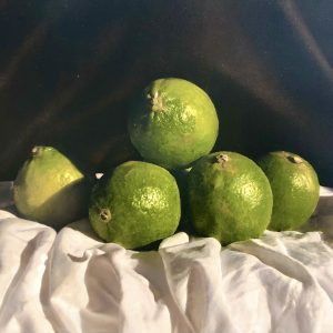 Kate Verrion | Blurred Limes