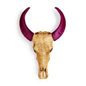 Gold Lace Skull Plum Aubergine Horns on White