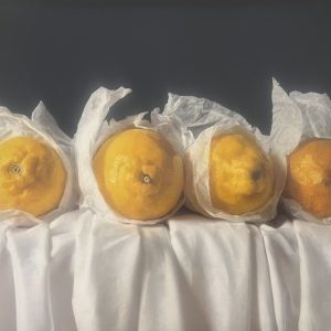 Kate Verrion hyperealist still life lemon painting