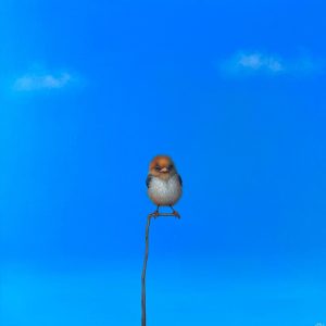 Lilia Mazurkevich - Sid. Original hyperrealist oil painting on canvas