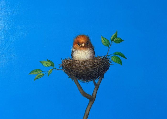 Lilia Mazurkevich 'Vinny' brid in nest with red plummage against a blue sky background